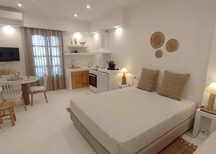 Evdion Naxos Town Apartment