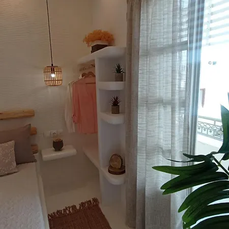 Evdion Naxos Town Daire *