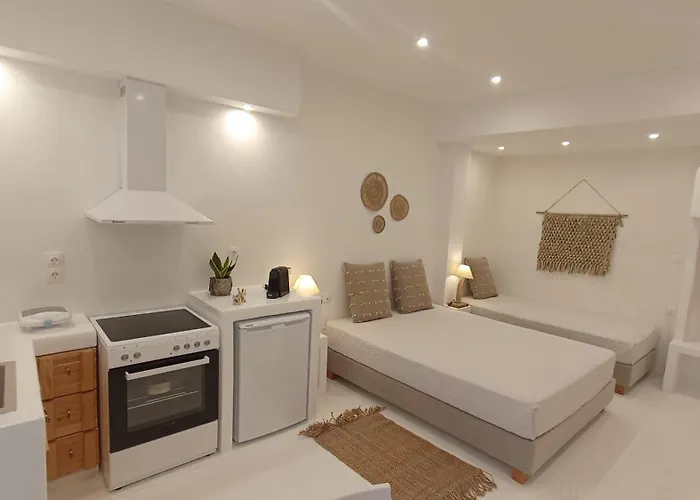 Evdion Naxos Town Apartment Naxos City